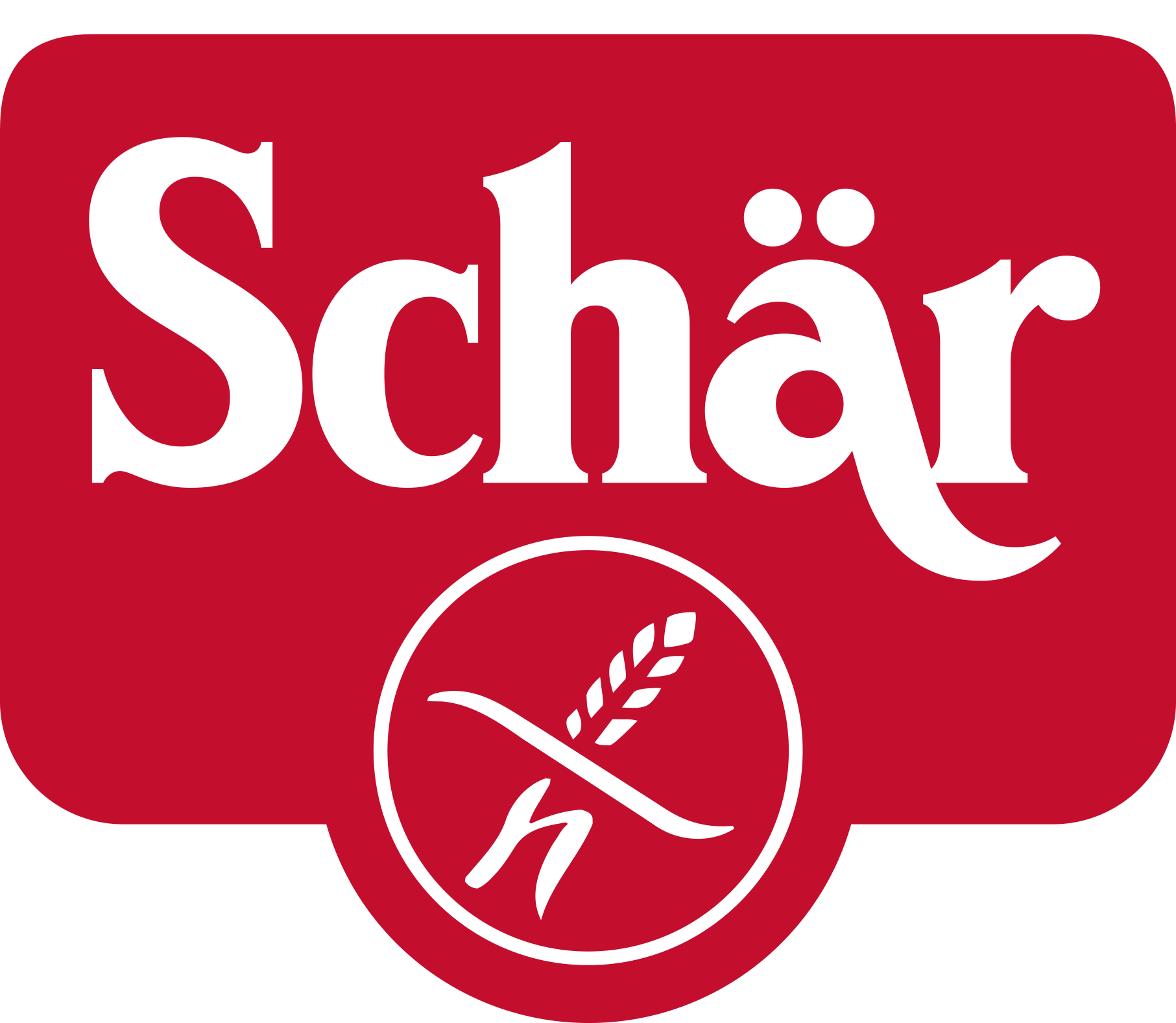 Dr. Schär vuelve a la Argentina